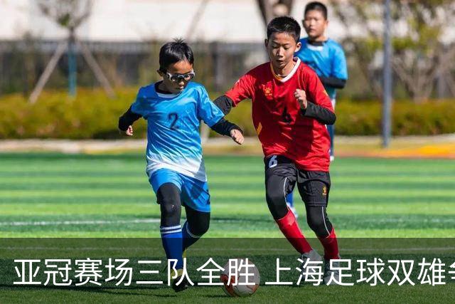 亚冠赛场三队全胜 上海足球双雄争冠与保级双线发力